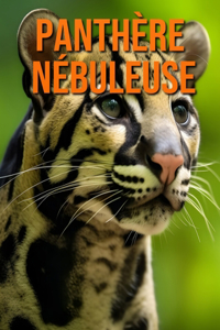 Panthère Nébuleuse