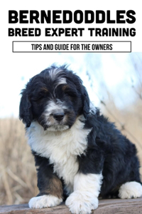 Bernedoddles Breed Expert Training