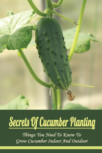 Secrets Of Cucumber Planting