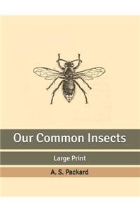 Our Common Insects