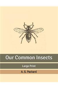 Our Common Insects