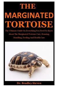 The Marginated Tortoise