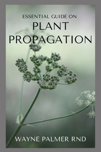 Essential Guide on Plant Propagation