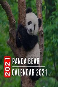 Panda Bear Calendar 2021