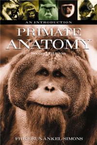 Primate Anatomy: An Introduction, 2nd Etition