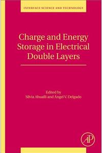 Charge and Energy Storage in Electrical Double Layers (Volume 24) (Interface Science and Technology, Volume 24)