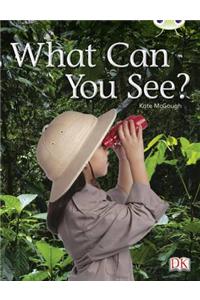 Bug Club Guided Non Fiction Reception Red A  What Can You See?