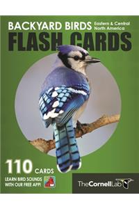 Backyard Birds Flash Cards - Eastern & Central North America