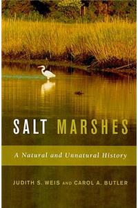 Salt Marshes