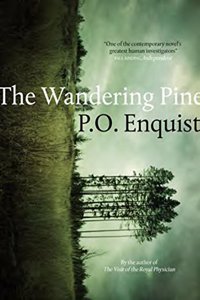 The Wandering Pine