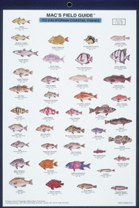 Mac's Field Guides: California Coastal Fish