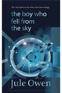 The Boy Who Fell from the Sky