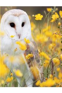 Barn Owl Notebook