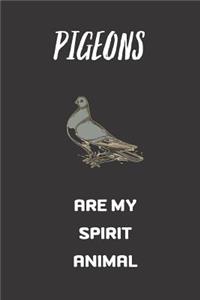 Pigeons Are my spirit animal