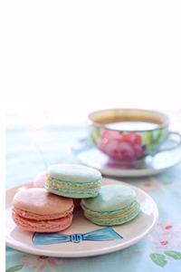 J'adore Les Macarons