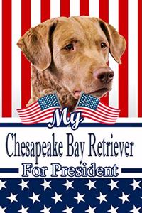 My Chesapeake Bay Retriever for President