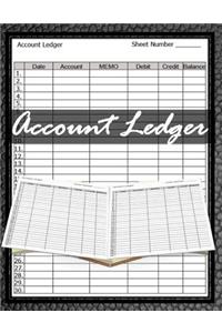 Account Ledger