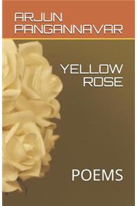 Yellow Rose