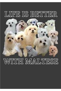 Life Is Better With Maltese
