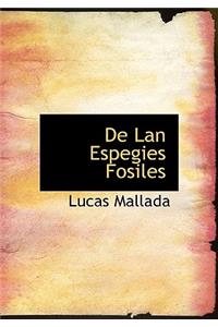 De Lan Espegies Fosiles