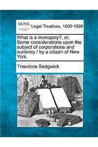 What Is a Monopoly?, Or, Some Considerations Upon the Subject of Corporations and Currency / By a Citizen of New York.