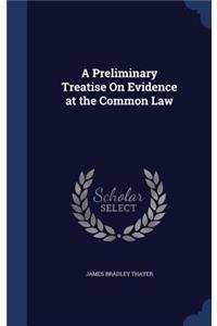 Preliminary Treatise On Evidence at the Common Law