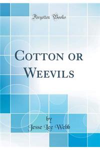 Cotton or Weevils (Classic Reprint)