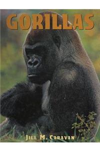 Gorillas