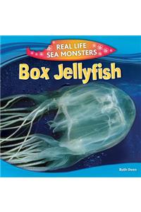 Box Jellyfish