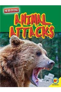 Animal Attacks