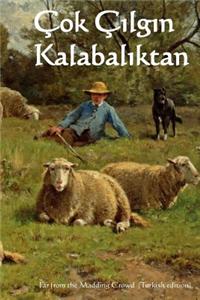 Cok Cilgin Kalabaliktan