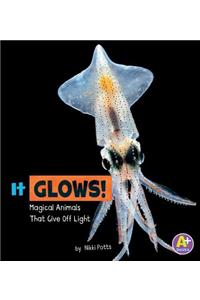 Magical Animals it Glows Magical Animals That Give off Light