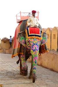 MindBlowing Elephant Journal 8