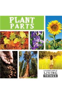 Plant Parts