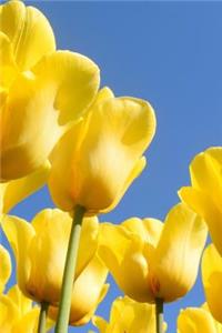 Happy Yellow Tulips Spring Flower Journal
