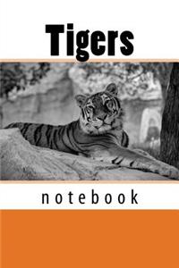 Tigers