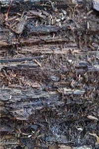Journal Dry Weathered Wood Leaves