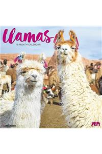 Llamas 2019 Wall Calendar