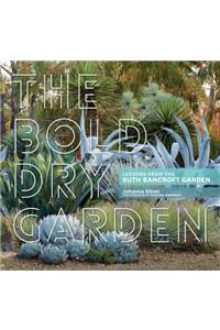 Bold Dry Garden