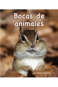 Bocas de Animales (Animal Mouths)