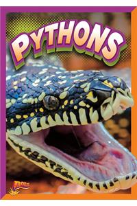 Pythons