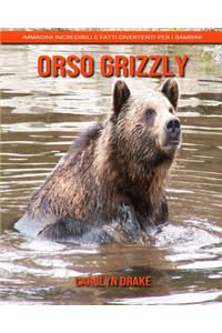 Orso grizzly
