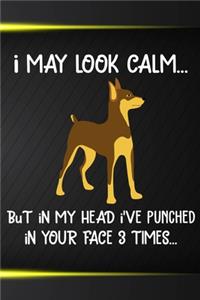 I May Look Calm But In My Head I've Punched In Your Face 3 Times