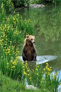 Brown Bear in a Lake Journal