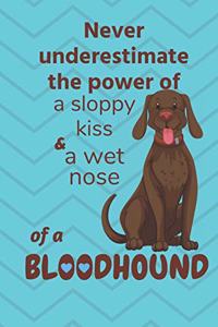 Never underestimate the power of a sloppy kiss and a wet nose of a BloodHound