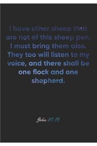John 10