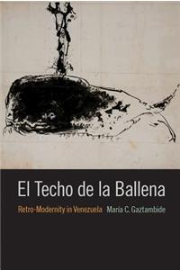 Techo de la Ballena