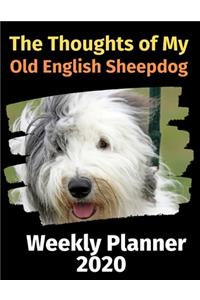 The Thoughts of My Old English Sheepdog