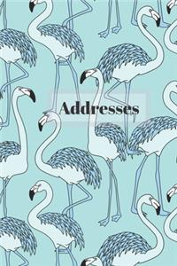 Addresses