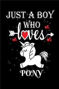 Just a Boy Who Loves Pony